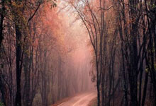 前往沙特？记者：前纽卡和曼联总监阿什沃斯正和利雅得胜利谈判.