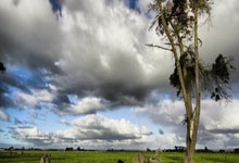 伊萨克谈转会传闻：没啥好说的，我专注于帮球队获得欧冠资格.