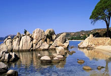 黑白体育：核心恐报销，北京七分输给浙江，太亏了.